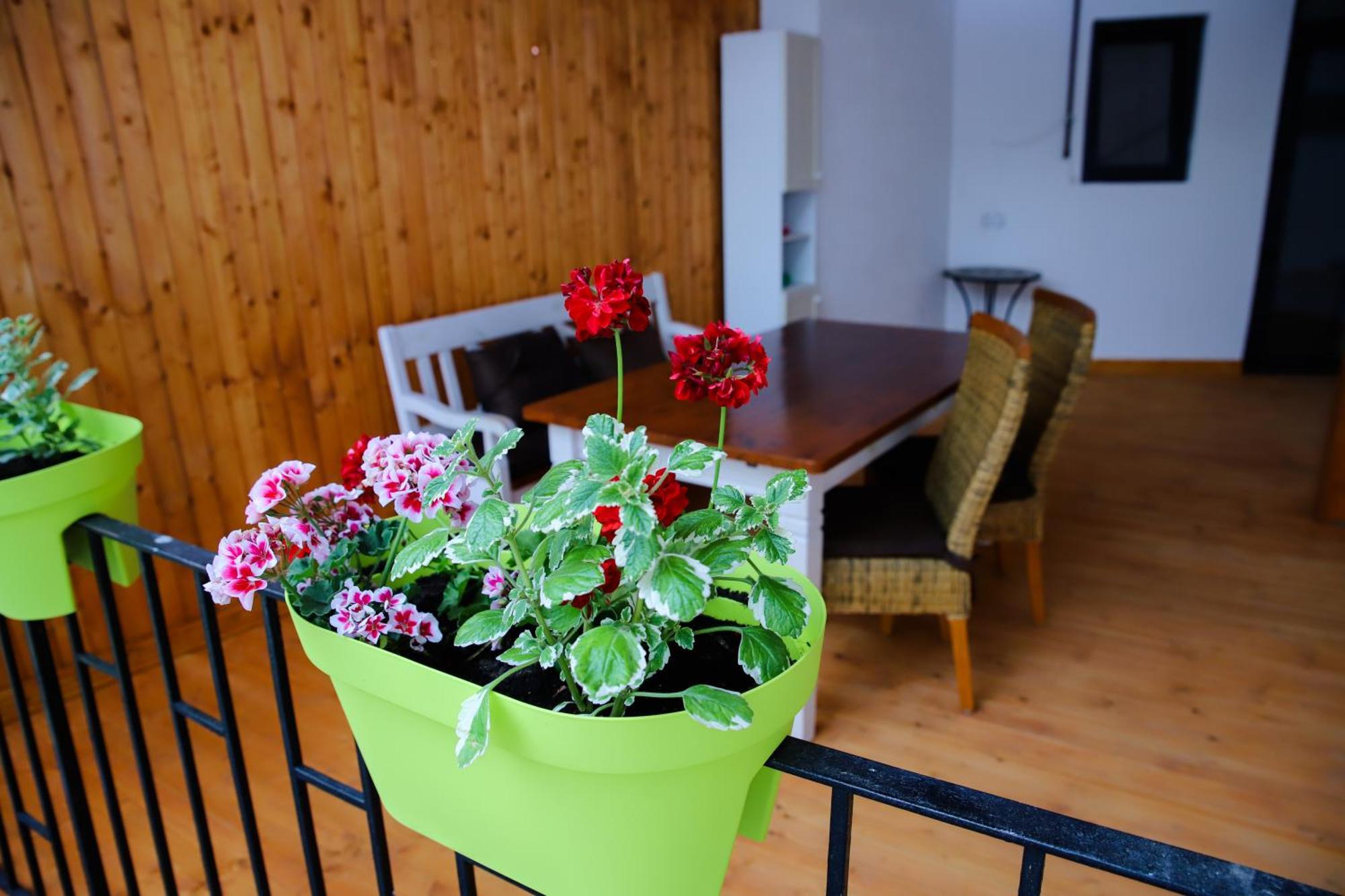 Floasiu Residence Guesthouse シビウ エクステリア 写真
